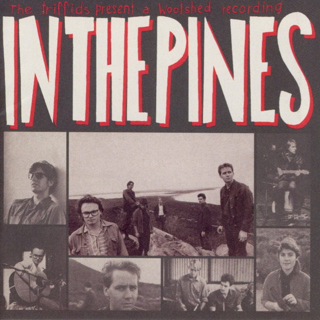 In The Pines
