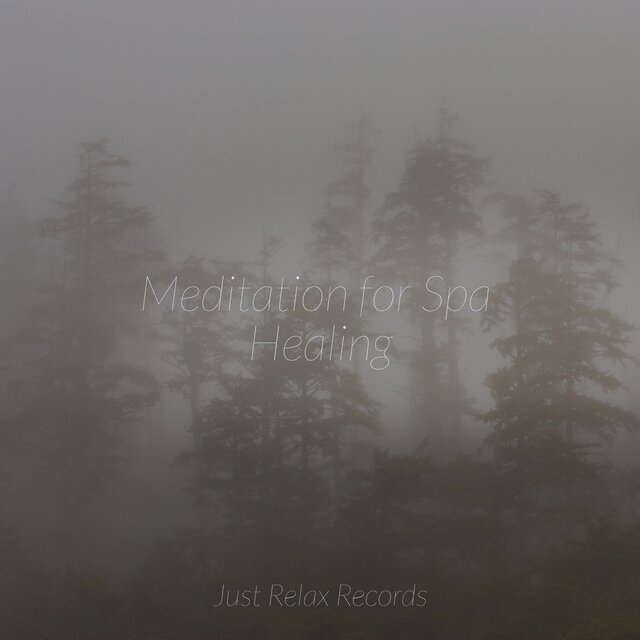 Meditation for Spa Healing