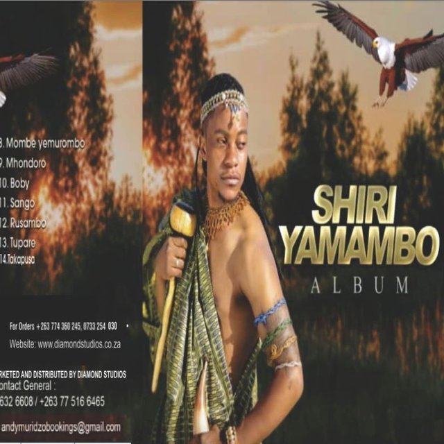 Shiri Yamambo