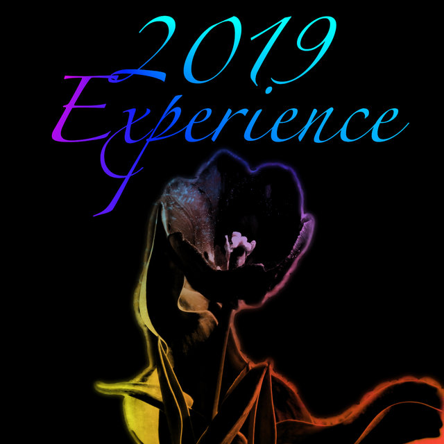 2019 Experience