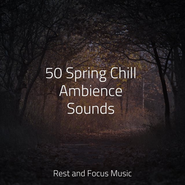 50 Spring Chill Ambience Sounds