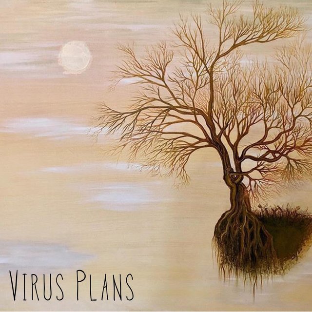 Virus Plans
