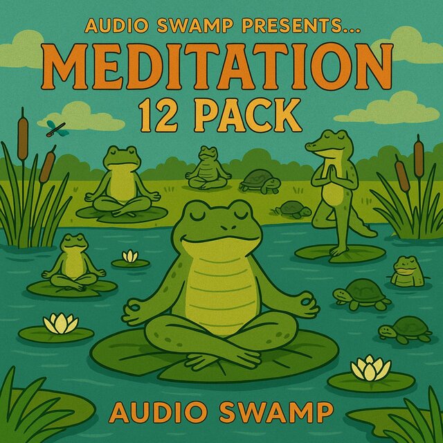 Audio Swamp 12 Pack of Meditation Music