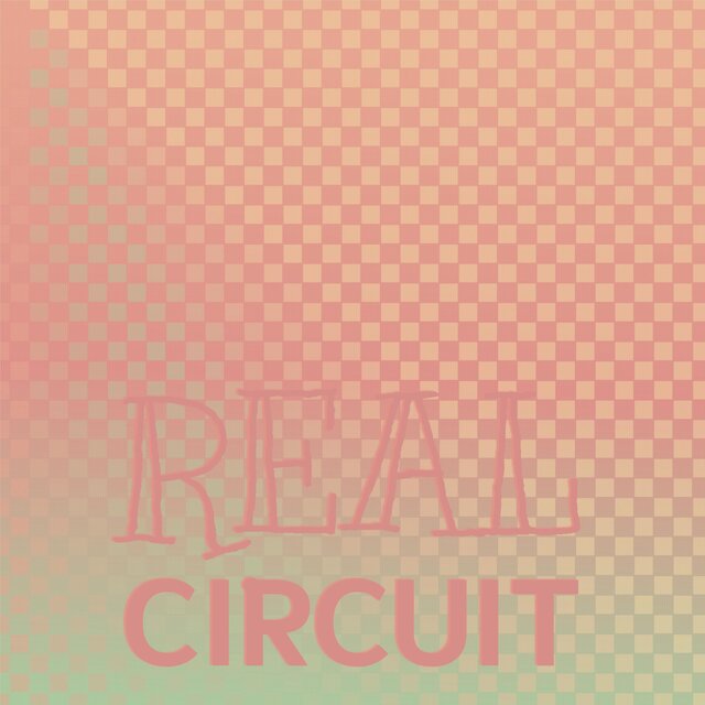 Real Circuit