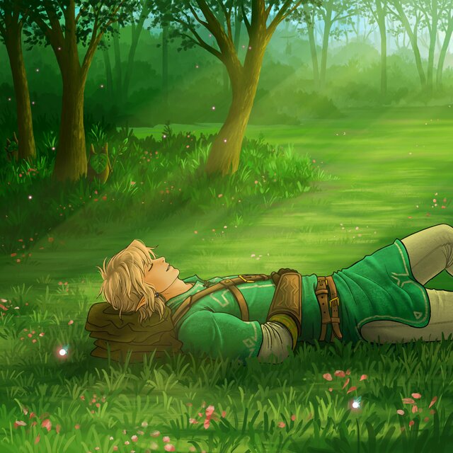 Zelda & Sleep: Ensemble Collection