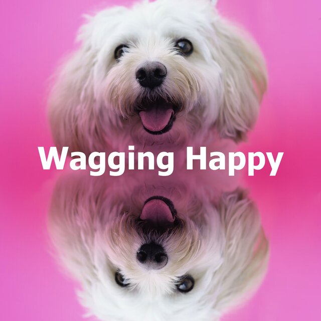 Wagging Happy
