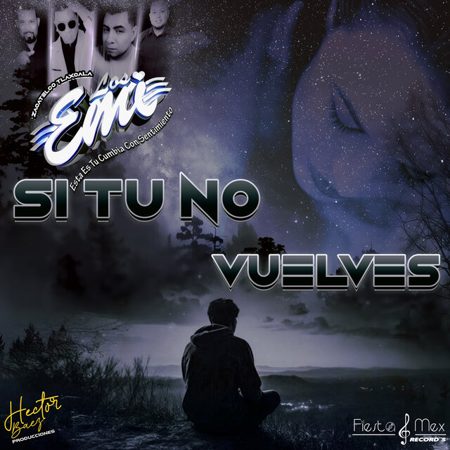 Si Tu No Vuelves