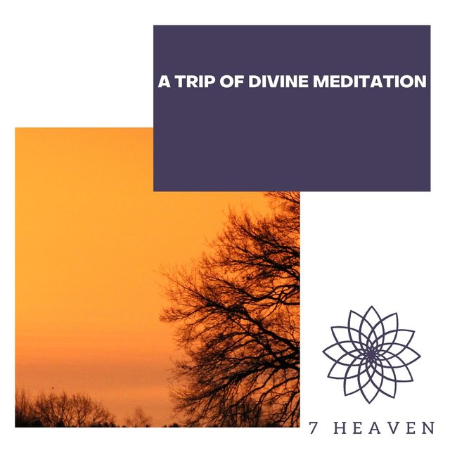 A Trip Of Divine Meditation