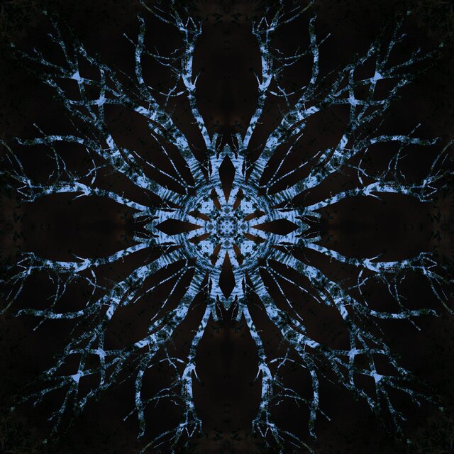 Wings (Revived)