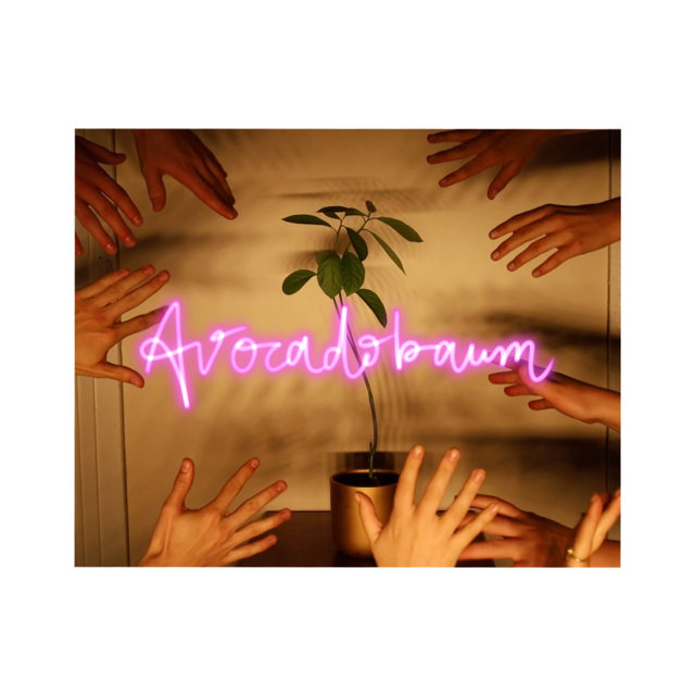 Avocadobaum