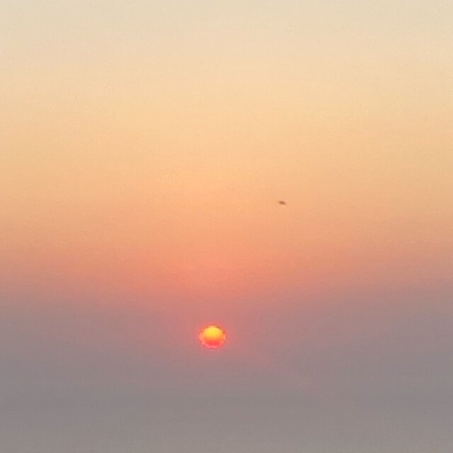 Look and Feel
