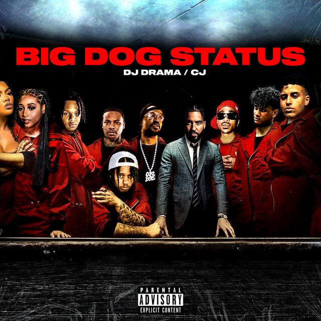 Big Dog Status