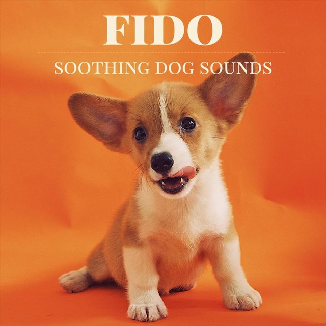 Fido