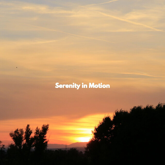 Serenity in Motion
