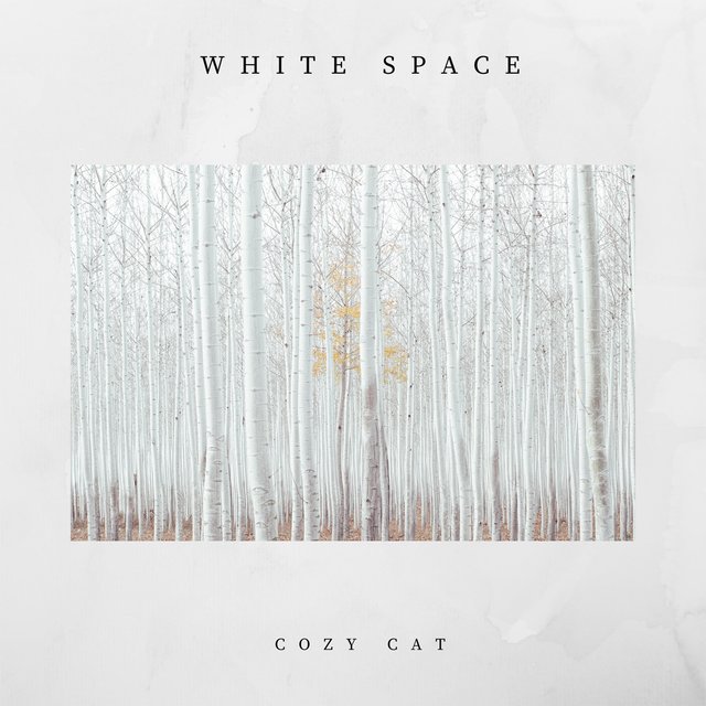 White Space