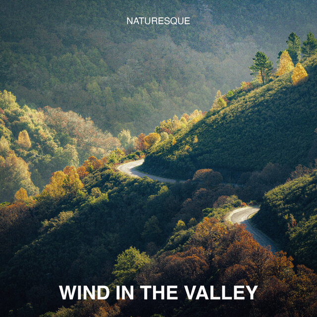 Wind in the Valley