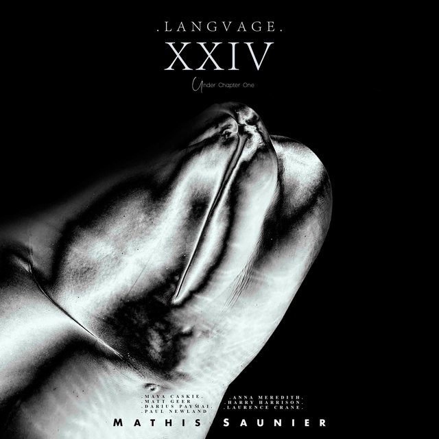 LANGVAGE XXIV