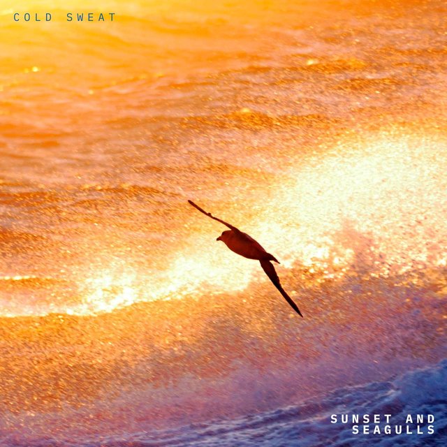 Sunset and Seagulls