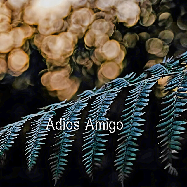 Adios Amigo