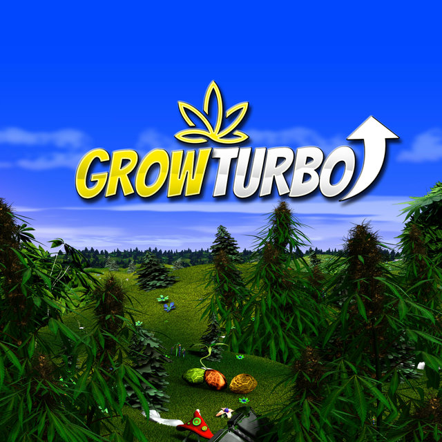 Cannabis Harvest Dry Trim & Cure Tones