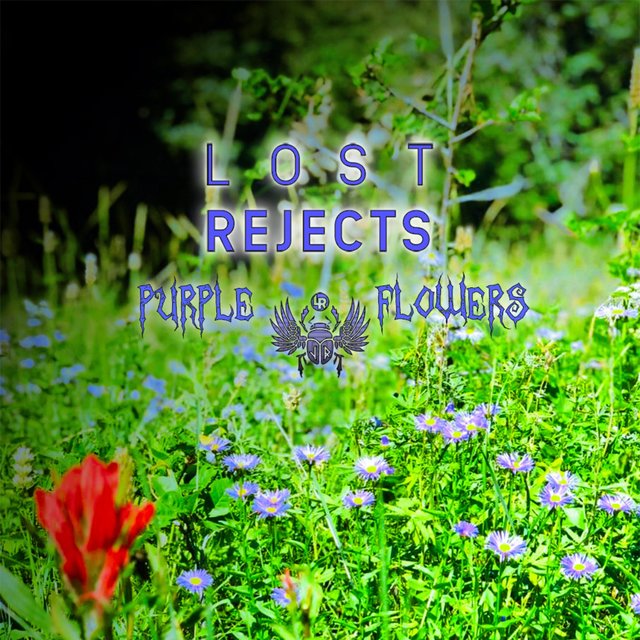Purple Flowers