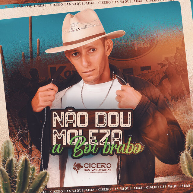 Não Dou Moleza a Boi Brabo