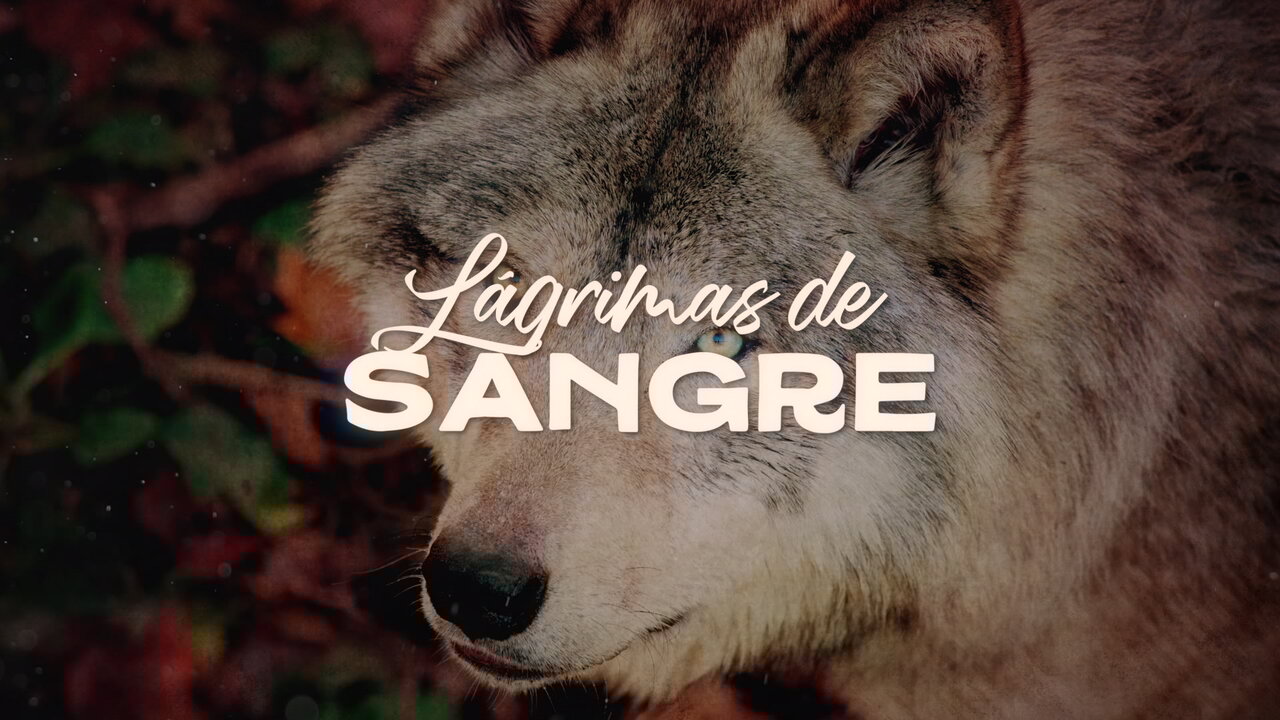 Lágrimas De Sangre (LETRA)