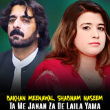 Ta Me Janan Za De Laila Yama