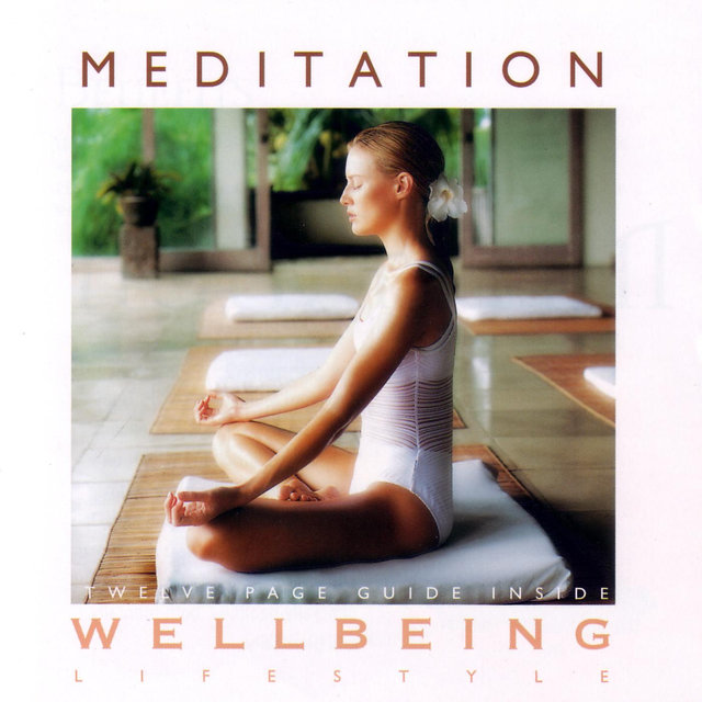 Meditation (Lifestyle Series)