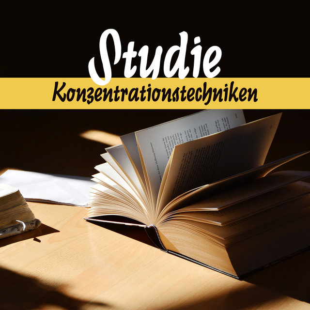 Studie (Konzentrationstechniken - Kreative Ideen, Schnelle Arbeit, Achtsamkeit, Gute Energie, Einfaches Lernen)