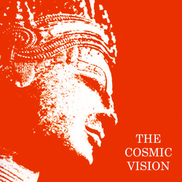 The Cosmic Vision