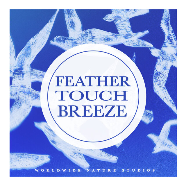 Feather Touch Breeze