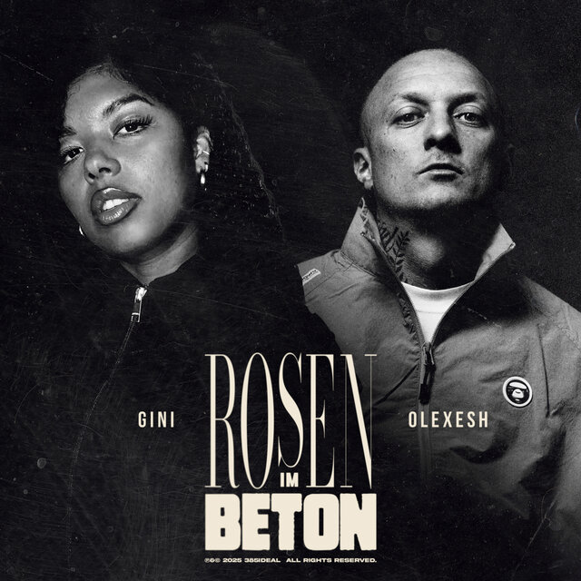 Rosen im Beton