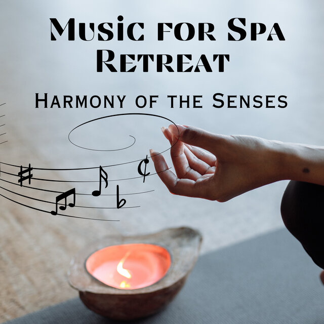 Harmony of the Senses - Music for Spa Retreat