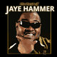 Cover art for album The Best of Jaye Hammer by Jaye Hammer