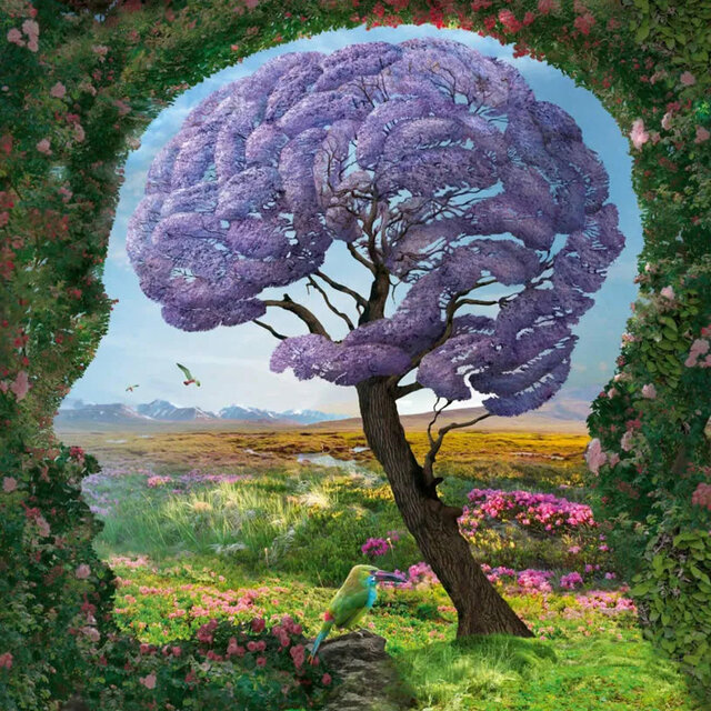 Visions Through a Liquid Mirror, Vol. 2 (The Reality of Things)