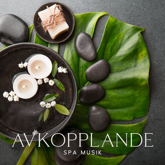 Avkopplande spa musik (Havsvågor för avkoppling, Natur låter för massage, Meditations, Instrumental gitarr musik)