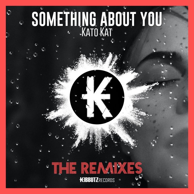 Something About You (The Remixes)