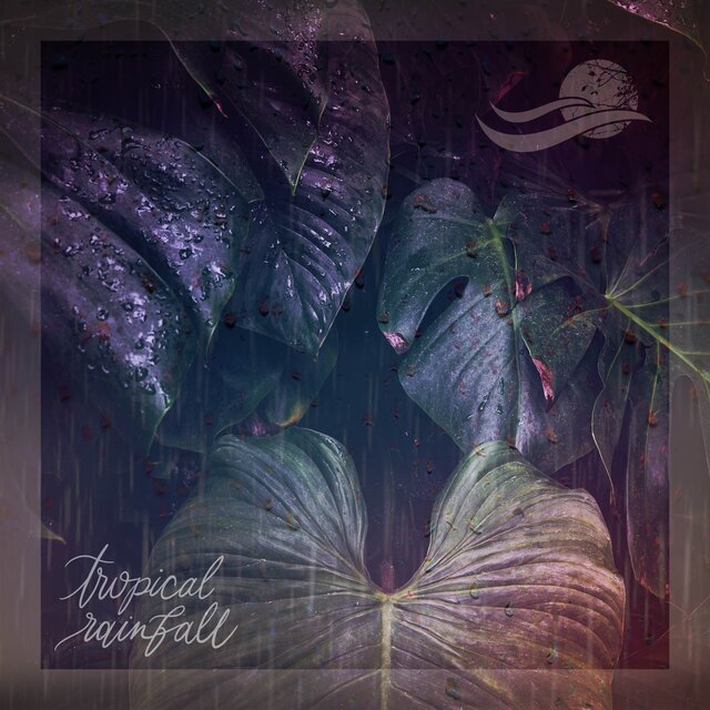Tropical Rainfall
