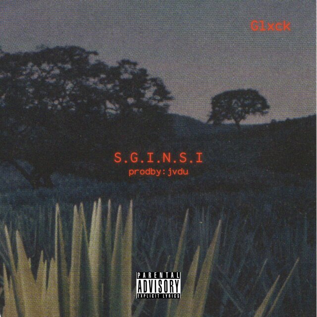 S.G.I.N.S.I