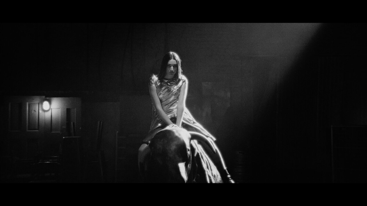 Mechanical Bull