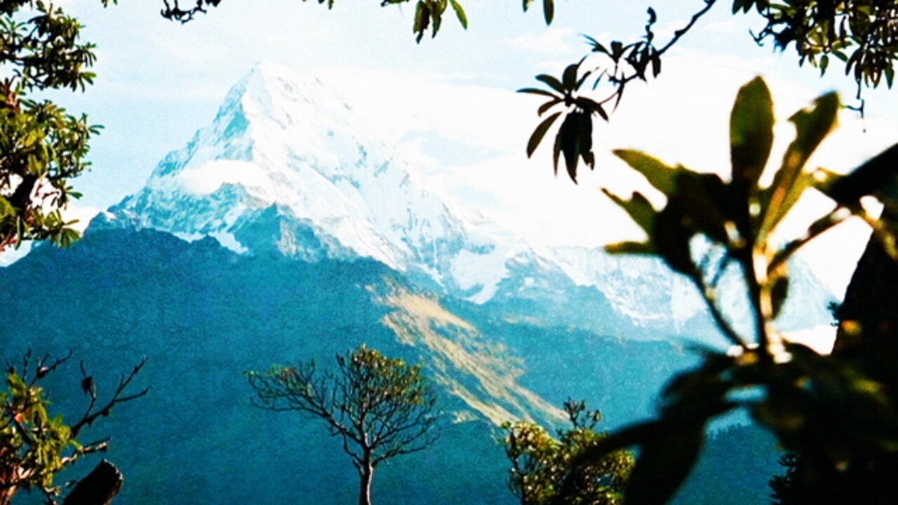 Mountain (Visualiser)