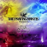 Thin Ice (D&B Remix)