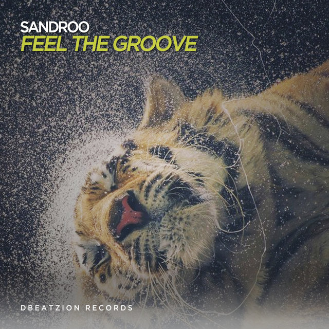 Feel The Groove