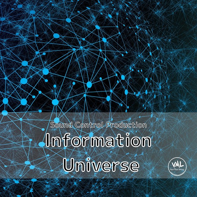 Information Universe