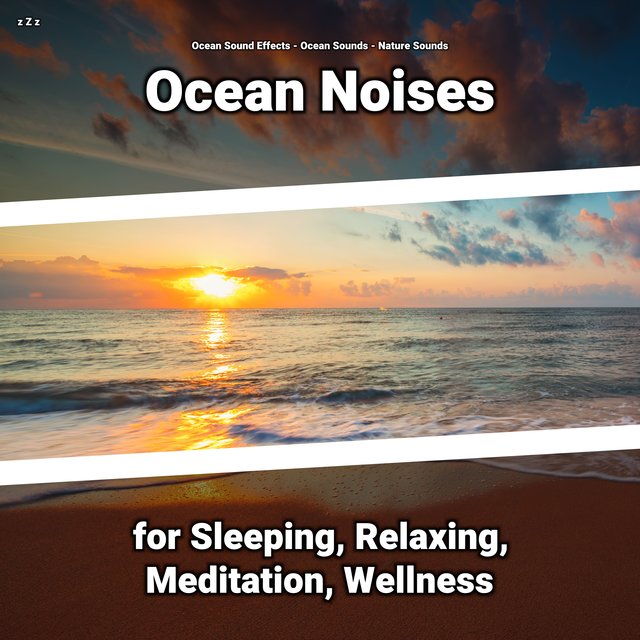 z Z z Ocean Noises for Sleeping, Relaxing, Meditation, Wellness