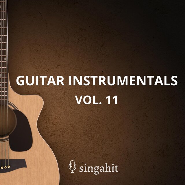 Guitar Acoustic Instrumental, Vol. 11