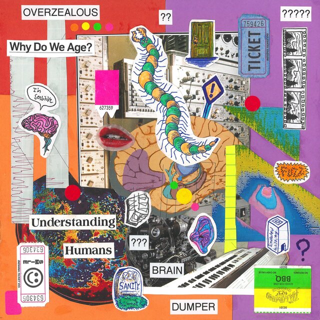 BRAIN DUMPER !?!