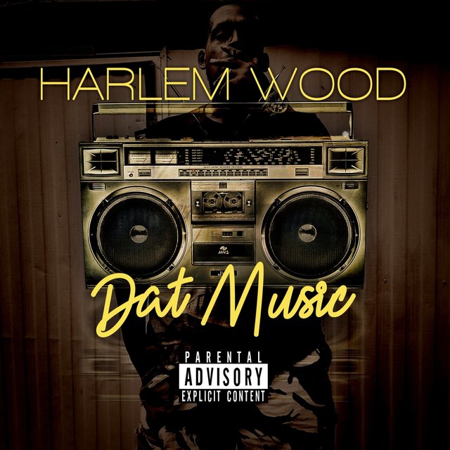 Cover art for album Dat Music by Harlem Wood