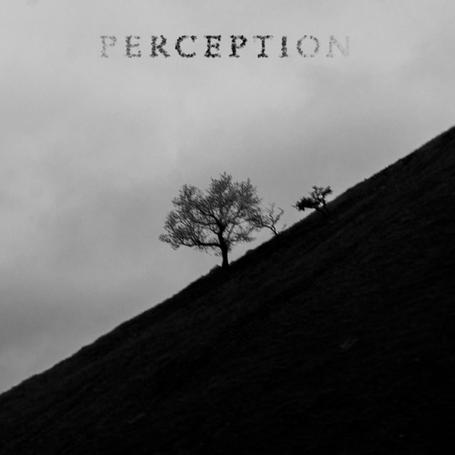 Perception